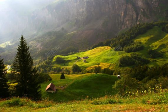 户外绿地山坡阳光背景