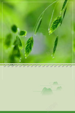 绿色简约谷雨节气海报海报