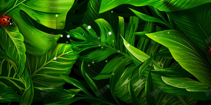 绿色自然psd设计背景_新图网 https://ixintu.com H5 h5 纹理 绿色自然 质感 面膜