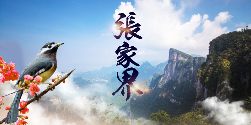 张家界旅游网(张家界旅游网络营销存在)