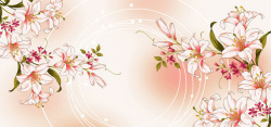 百合花电视梦幻百合几何背景高清图片