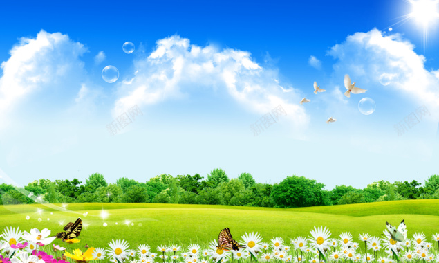 蓝天白云草地鲜花背景背景