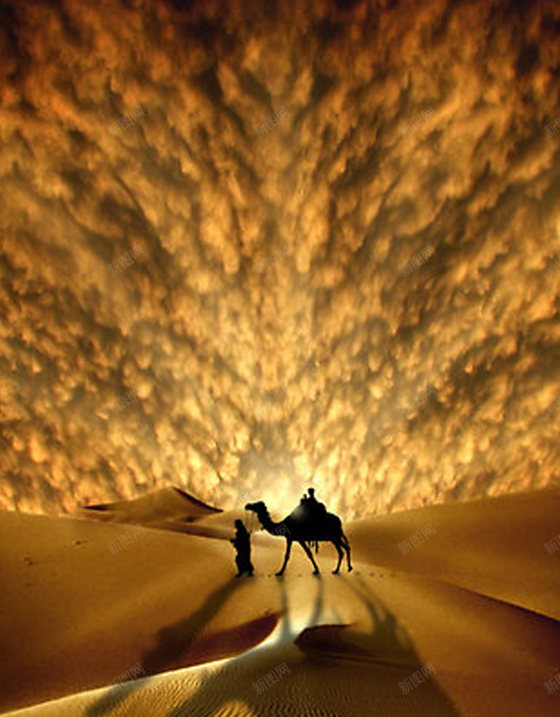 大气磅礴黄色沙漠H5背景jpg_新图网 https://ixintu.com H5 一带一路 一带一路宣传画 一带一路峰会 一带一路战略 一带一路路线 一带一路高峰论坛 丝绸之路 人物 大气 摄影 服务一带一路 沙漠 磅礴 震撼 风景 骆驼 黄色
