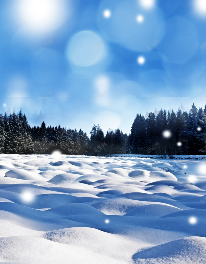 冰雪覆盖的森林jpg_新图网 https://ixintu.com H5 h5 冬季 冰雪覆盖 寒冷 摄影 晴空 梦幻 森林 雪花 风景