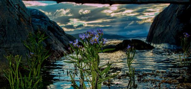 河流鲜花山峰背景jpg设计背景_新图网 https://ixintu.com 山峰 植物 河流 自然风光 花朵 鲜花