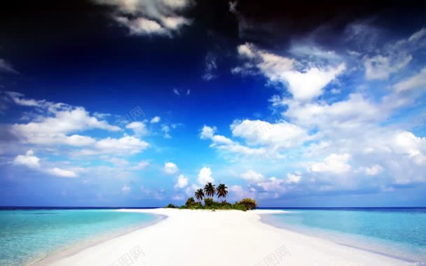 蓝天户外热带椰树背景