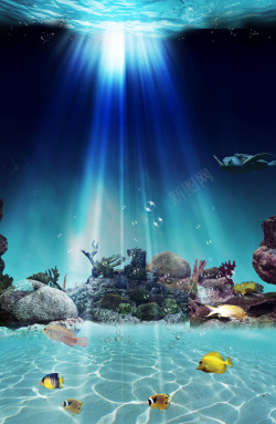 水族馆展览海底世界水族馆宣传海报背景高清图片