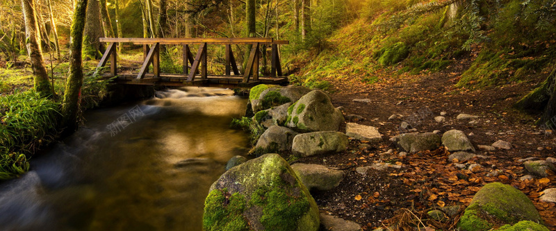 古老森林石块木桥摄影图片