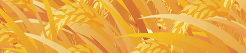 传统二十四节气之芒种宣传海报psd设计背景_新图网 https://ixintu.com 丰收 二十四节气海报 六月 夏 夏季 芒种海报 芒种节气 麦子 黄色