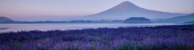 自然风景psd_新图网 https://ixintu.com 唯美 山峰 摄影 海报banner 自然 薰衣草 风景