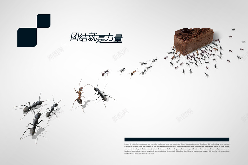 创意公益励志海报psd设计背景_新图网 https://ixintu.com 公益 创意 励志 摄影 海报 白色 蚂蚁 蚂蚁精神 风景
