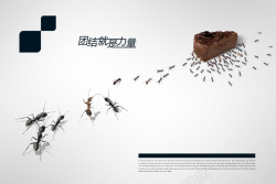 蚂蚁精神创意公益励志海报高清图片