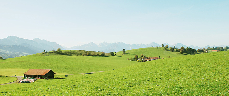 绿色田园背景背景