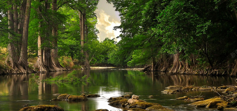 树林河流背景摄影图片