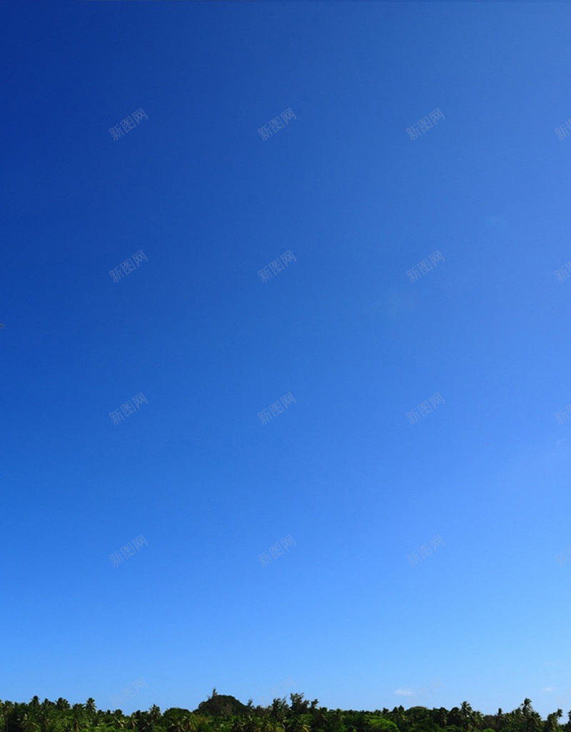 蓝色大海H5背景jpg_新图网 https://ixintu.com H5 h5 大海 天空 摄影 树林 沙滩 海浪 风景