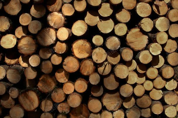 一堆木头jpg设计背景_新图网 https://ixintu.com 一堆木头图片 一堆木头图片素材下载 其它类别 图片素材 木头 木材 背景花边