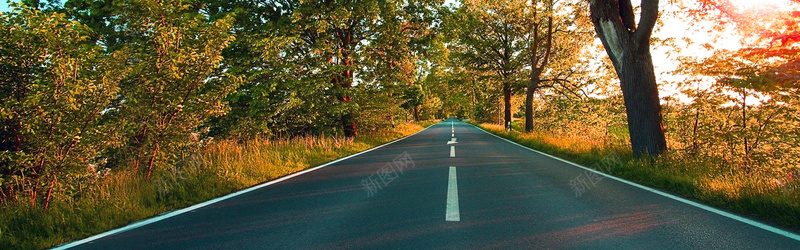 森林道路背景摄影图片