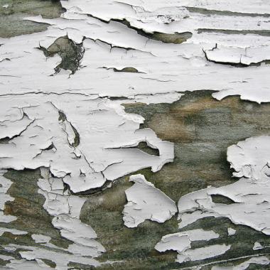 古老的起皮的木板背景