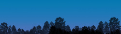 矢量树林蓝色黑夜背景高清图片