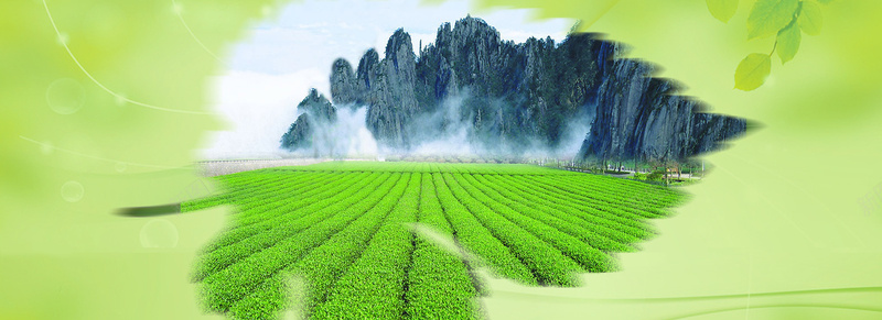 古典的中国风古典茶叶文化banner摄影图片