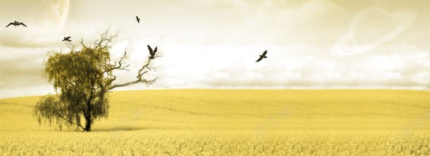 秋季风景背景jpg设计背景_新图网 https://ixintu.com 秋季背景