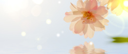 花瓣项链梦幻背景花朵高清图片