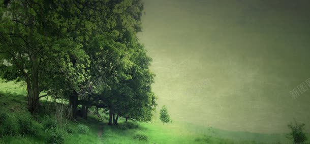 山坡大树背景jpg设计背景_新图网 https://ixintu.com 大树 山坡 旅游 树林 植物 自然风光