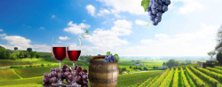 红酒基地创意红酒葡萄酒淘宝海报清新背景高清图片