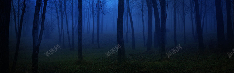 黑暗森林背景摄影图片