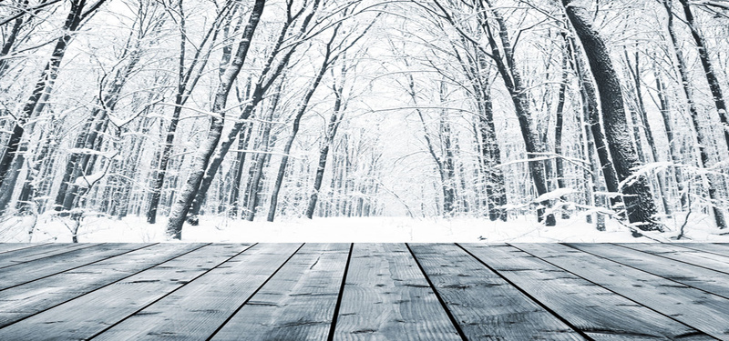 冬季森林前面的木板jpg设计背景_新图网 https://ixintu.com 冬季 寒冷 开心 快乐 木板 海报banner 白色 纹理 质感