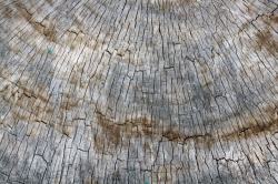 木纹裂缝木板裂纹背景高清图片