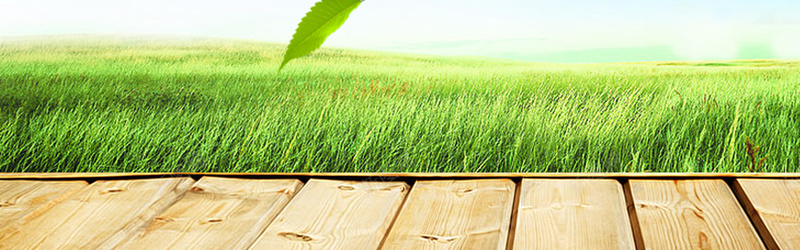 绿色植物绿色风景淘宝背景摄影图片