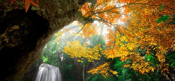秋季树林瀑布背景jpg设计背景_新图网 https://ixintu.com 休闲旅游 树叶 树林 植物 瀑布 自然风光