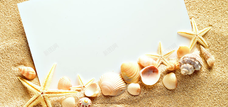 海滩海星贝壳海螺背景背景