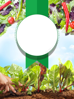 农场配送有机蔬菜新鲜配送广告海报背景高清图片