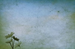 复古纸张和鲜花图片复古纸张与鲜花背景高清图片