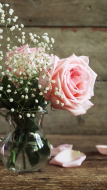 粉色花朵H5背景摄影图片