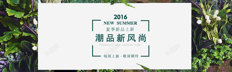 绿色小清新夏季女装上新banner背景