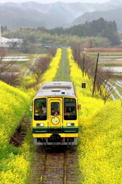 山间的火车黄色山间火车海报背景高清图片