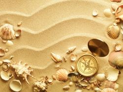 热带海洋与沙滩贝壳海螺与指南针高清图片