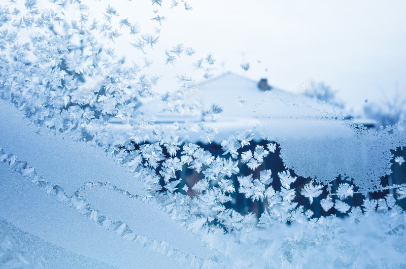 小雪冰霜节气jpg设计背景_新图网 https://ixintu.com 冰霜 寒冷 小雪 节气