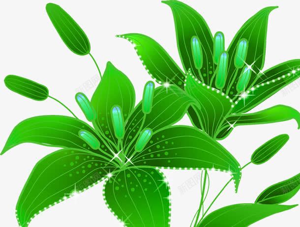 手绘绿色春季植物png免抠素材_新图网 https://ixintu.com 春季 植物 绿色