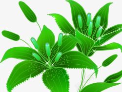 手绘绿色春季植物素材