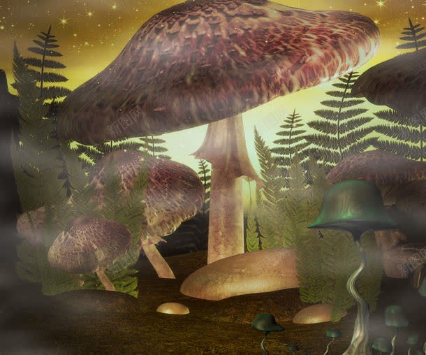 森林中的大蘑菇jpg设计背景_新图网 https://ixintu.com 其它类别 图片素材 森林 森林中的大蘑菇图片 森林中的大蘑菇图片素材下载 植物 背景图案 背景花边 蘑菇