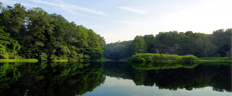 清新大自然湖泊树林背景摄影图片