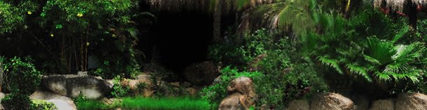 森林背景jpg设计背景_新图网 https://ixintu.com 天猫 树林 淘宝