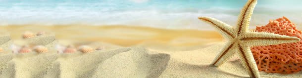 沙滩的海星jpg设计背景_新图网 https://ixintu.com 沙滩 海星