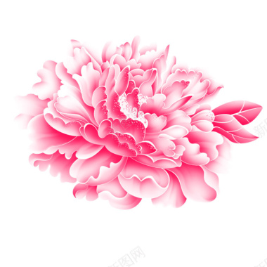粉色质感花朵背景