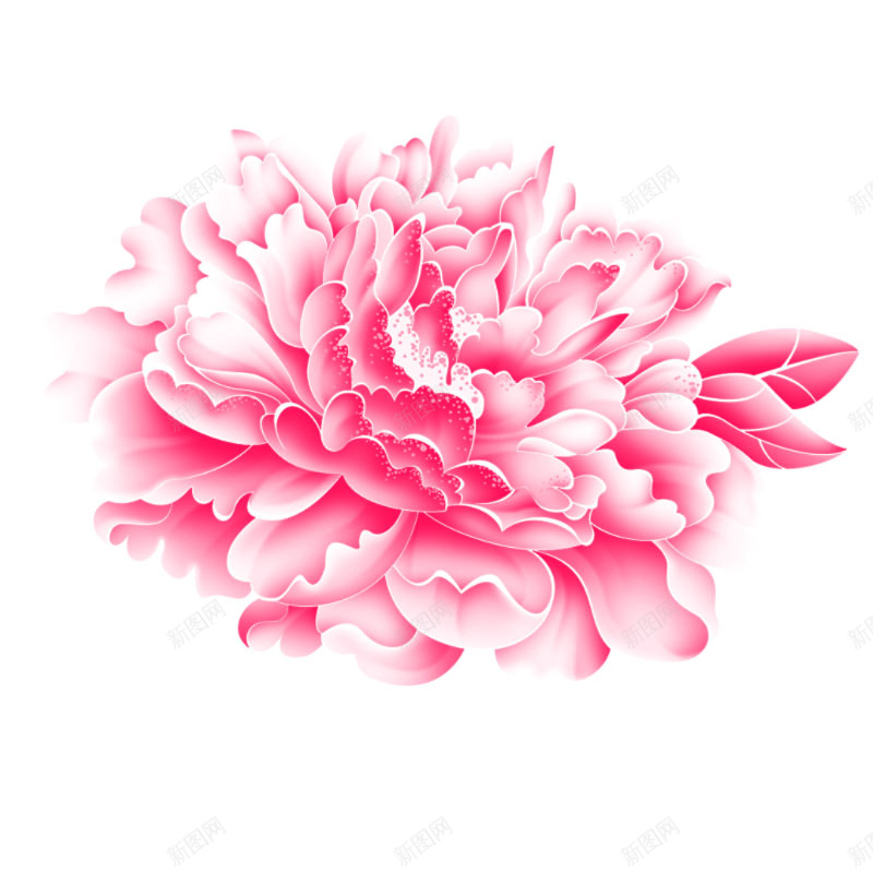 粉色质感花朵psd设计背景_新图网 https://ixintu.com 中国风 主图 牡丹 粉色 花朵