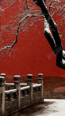 故宫红墙背景摄影图片